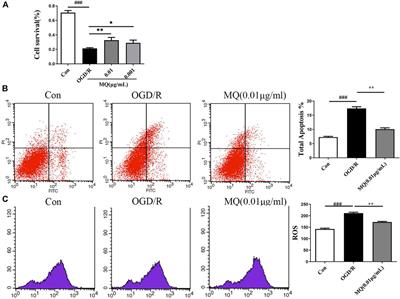 Anti-Inflammatory Dipeptide, a Metabolite from Ambioba Secretion, Protects Cerebral Ischemia Injury by Blocking Apoptosis Via p-JNK/Bax Pathway